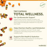 Wellwith by Ayuzera Sea Buckthorn Berry Oil Omega 7 500mg, 30 Veg HPMC Capsules, 15-Day Supply| Sea buckthorn Capsules rich In Omega 3, 6 & 9 help to keep the skin healthy| Dietary Supplements, 500mg Each