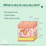 The Derma Co 5% Nia-Ceramide Deep Moisturizing Cream | 5% Niacinamide & Ceramide | 72hrs.Hydration | Urea, Lipids & Oat Extracts | Moisturizer for Dry to Very Dry Skin-100g