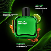 Wild Stone Forest Spice Perfume For Men (50 Ml)