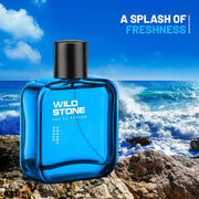 Wild Stone Hydra Energy Eau De Parfum for Men, 100ml