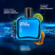 Wild Stone Hydra Energy Eau De Parfum for Men, 100ml