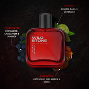 Wild Stone Ultra Sensual Long Lasting Perfume for Men, 100ml