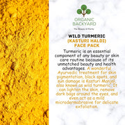 Wild Turmeric