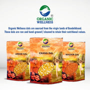 Organic Wellness Chana Dal 450g | Organic Unpolished Split Bengal Gram | High Protein & Low GI