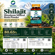Organic Wellness Pure Himalayan Shilajit 60 Capsules | 625mg Purified Mineral Resin Powder | Energy,