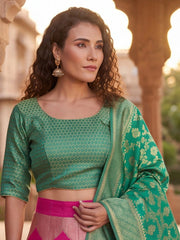Anouk Rustic Zari Woven Semi-Stitched Lehenga with Dupatta view 21