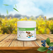 Herbalife Dinoshake 200 grams (Chocolate)