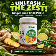 Oh So Organic Ginger Lime Chilli Pickle 200g | Homemade Style Achar | Traditional Recipe, Natural In