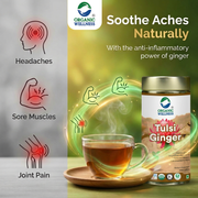 Organic Wellness Tulsi Ginger 100g Tin | Loose Leaf Tulsi & Ginger Herbal Tea | Caffeine Free, Sooth