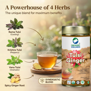 Organic Wellness Tulsi Ginger 100g Tin | Loose Leaf Tulsi & Ginger Herbal Tea | Caffeine Free, Sooth