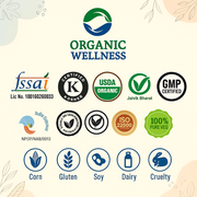 Organic Wellness Tulsi Green Tea Classic 100g Tin | Loose Leaf Tulsi & Green Tea | Antioxidant-Rich,