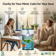 Organic Wellness Tulsi Brahmi 100g Tin | Loose Leaf Tulsi & Brahmi Herbal Tea | Caffeine Free, Calm 