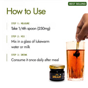 shilajit himalayan origin 20 gm
