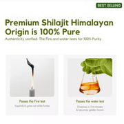 shilajit himalayan origin 20 gm