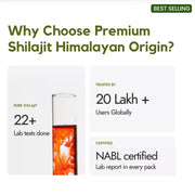 shilajit himalayan origin 20 gm